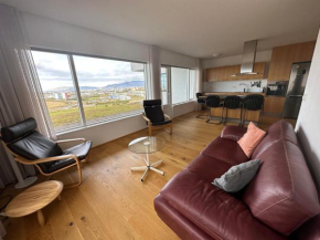 Apartment in Austurkór- Birta Rentals